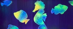海马的繁殖方式
