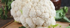 菜花零下几度没有事