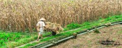 中国农业的首要任务始终是