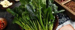 野菠菜和普通菠菜的区别