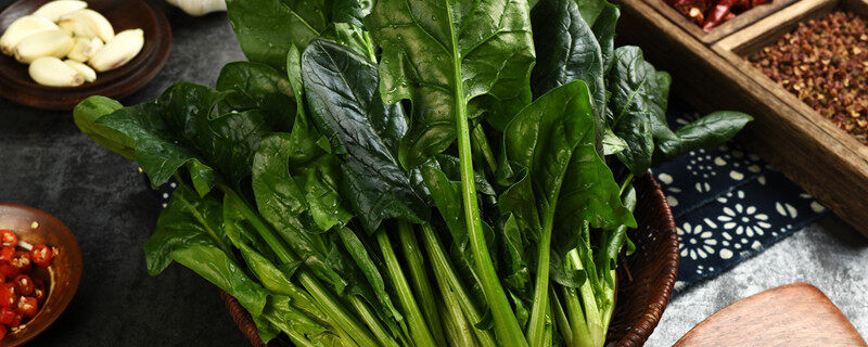 野菠菜和普通菠菜的区别 野菠菜和普通菠菜的区别