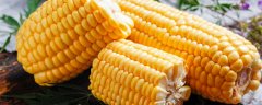 瑞丰168玉米品种介绍