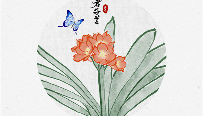 父亲节送什么花好 父亲节送什么花好