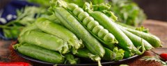越冬豌豆的种植方法和时间