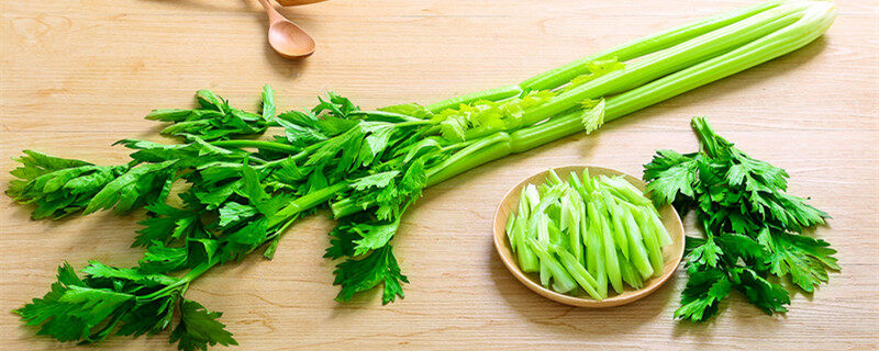 芹菜如何催芽种植 芹菜如何催芽种植