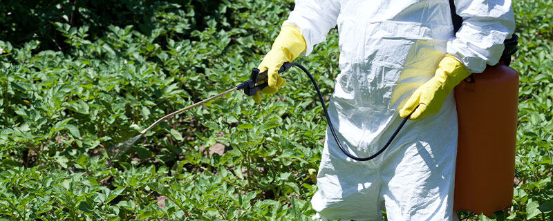 毒死蜱属于哪类农药 毒死蜱属于哪类农药