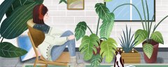 蓝宝石葡萄品种介绍