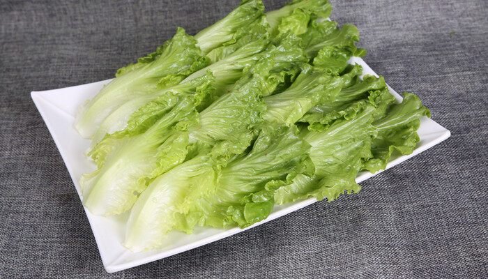 生菜生长的适宜温度是多少 生菜生长的适宜温度是多少