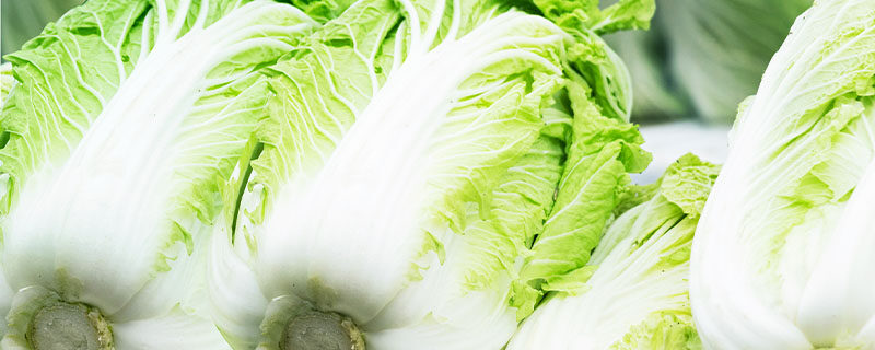 6月份露天适合种植什么蔬菜 6月份露天适合种植什么蔬菜