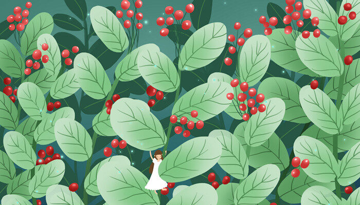 古柯主要种植在哪里?是北美州?南美洲 古柯主要种植在哪里?是北美州?南美洲