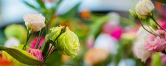 有钱花随便花还有什么花