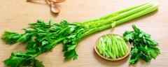 十一月份可以种芹菜吗
