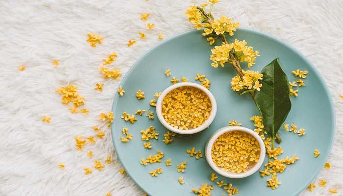 桂花要开花的征兆 桂花要开花的征兆