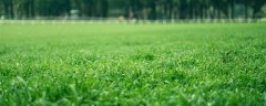 花草勿用开水浇是什么意思