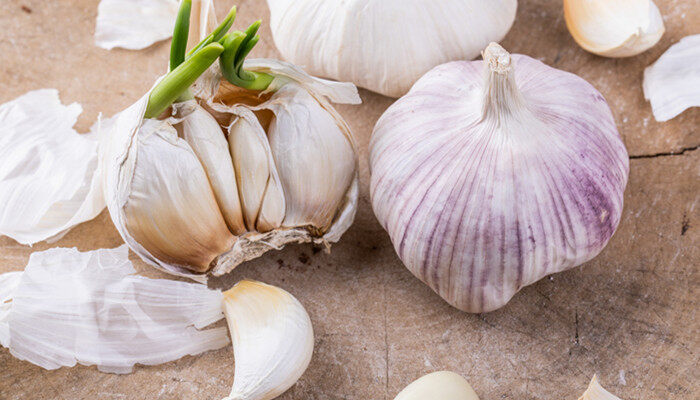 大蒜浸种用什么杀菌剂 大蒜浸种用什么杀菌剂