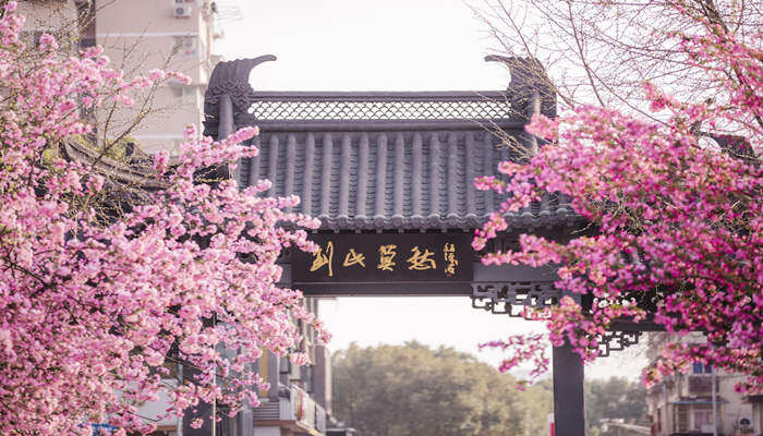 海棠树适合栽在庭院吗 海棠树适合栽在庭院吗