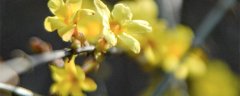 3月是春天还是夏天