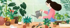 植物分类