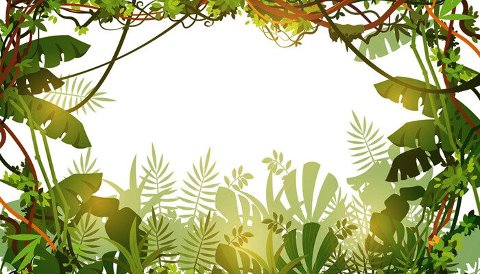我国珍稀植物有哪些,主要生活在哪里 我国珍稀植物有哪些,主要生活在哪里