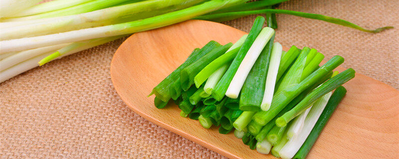 泡沫箱种菜 致癌 泡沫箱种菜 致癌