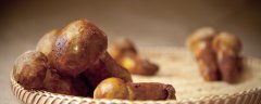 毒鹅膏菌和无毒鹅膏菌区别