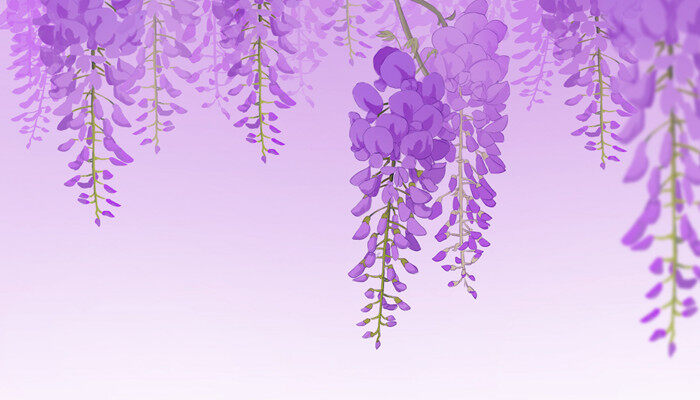 紫藤萝花语是什么 紫藤萝花语是什么