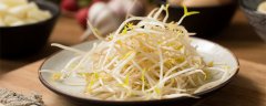 豆芽有毒吗