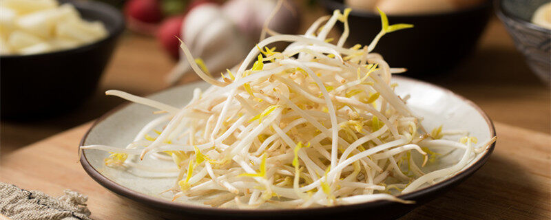 豆芽有毒吗 豆芽有毒吗