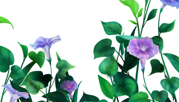 什么的枝条上开满了什么的花 什么的枝条上开满了什么的花