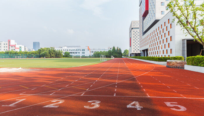 专业足球场用什么草坪 专业足球场用什么草坪