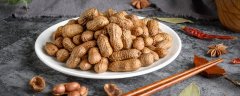 种子对植物有什么意义