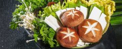 菌种怎么制作