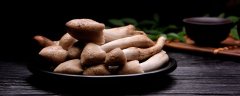 鸡枞菌生长环境特点