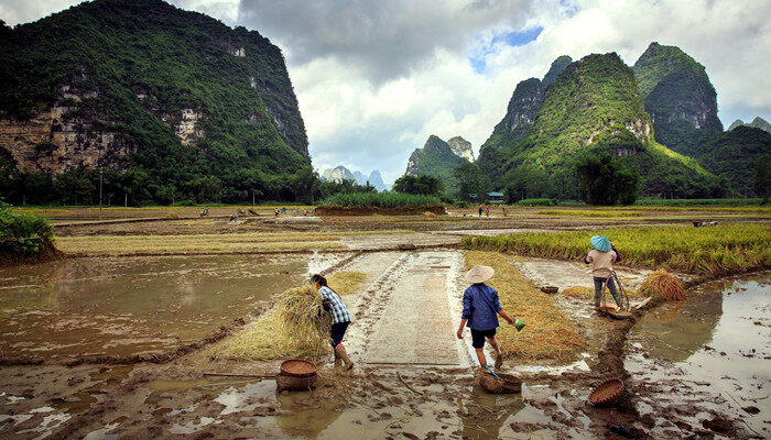 原始农业的地位 原始农业的地位