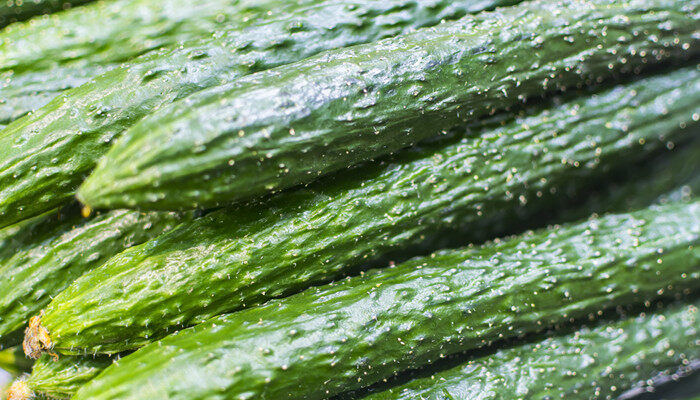生活中有什么植物是变态茎 生活中有什么植物是变态茎