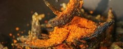泥鳅怎么养长得快
