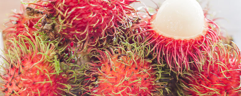 红毛丹成熟的季节是几月 红毛丹成熟的季节是几月