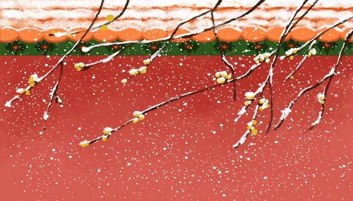 梅花什么开在冬 梅花什么开在冬