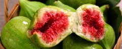 无花果怎样栽培种植