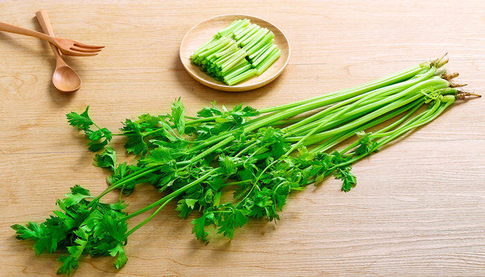 十一月份可以种芹菜吗 十一月份可以种芹菜吗