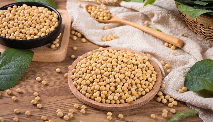 黄豆制作肥料的正确方法 黄豆制作肥料的正确方法