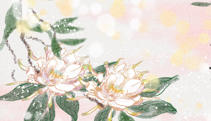 假昙花夏天能不能浇水 假昙花夏天能不能浇水