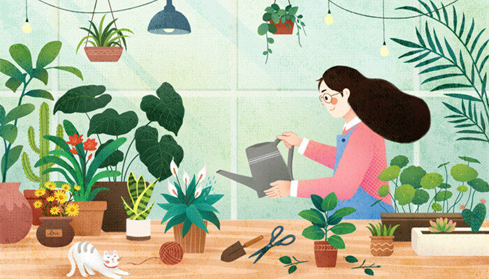 白三草花语是什么 白三草花语是什么