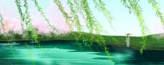 柳树叶可以做生根水吗