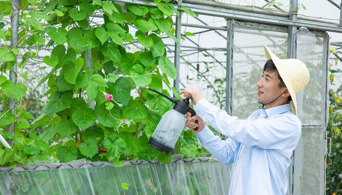 土壤消毒用什么药 土壤消毒用什么药