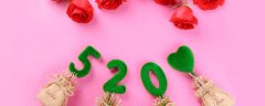 红玫瑰的花语是什么