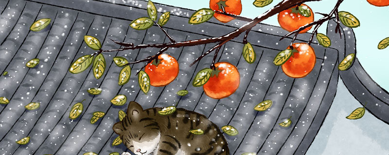 柿子是凶树还是吉树 柿子是凶树还是吉树