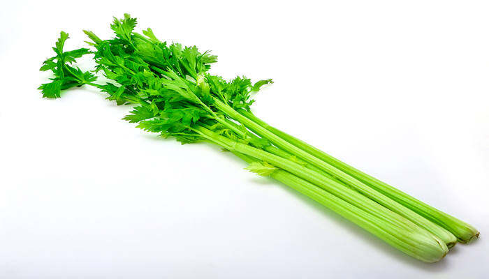 芹菜十一月份种可以吗 芹菜十一月份种可以吗