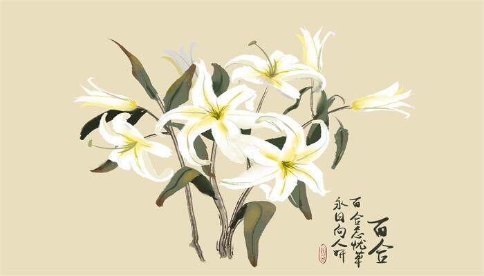百合可以放卧室里嘛 百合可以放卧室里嘛