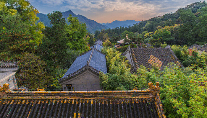 潭柘寺银杏树多少年 潭柘寺银杏树多少年